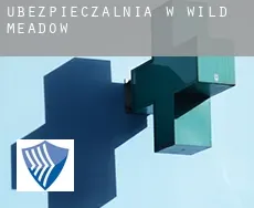 Ubezpieczalnia w  Wild Meadow