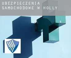 Ubezpieczenia samochodowe w  Holly