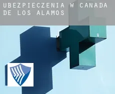 Ubezpieczenia w  Cañada de los Alamos