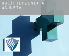 Ubezpieczenia w  Wauneta