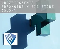 Ubezpieczenia zdrowotne w  Big Stone Colony