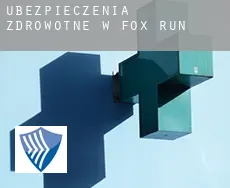 Ubezpieczenia zdrowotne w  Fox Run