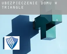 Ubezpieczenie domu w  Triangle