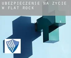 Ubezpieczenie na życie w  Flat Rock