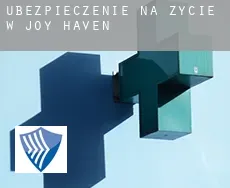 Ubezpieczenie na życie w  Joy Haven