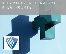 Ubezpieczenie na życie w  La Pointe