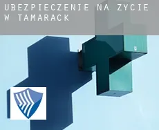 Ubezpieczenie na życie w  Tamarack