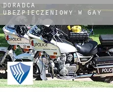 Doradca ubezpieczeniowy w  Gay