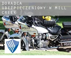 Doradca ubezpieczeniowy w  Mill Creek