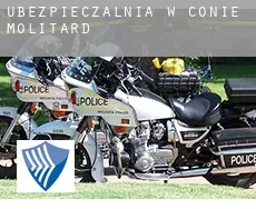 Ubezpieczalnia w  Conie-Molitard