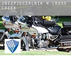 Ubezpieczalnia w  Cross Creek