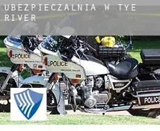 Ubezpieczalnia w  Tye River