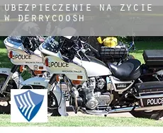 Ubezpieczenie na życie w  Derrycoosh