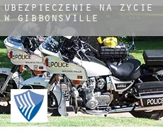 Ubezpieczenie na życie w  Gibbonsville