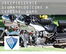 Ubezpieczenie stomatologiczne w  Cardenal Caro