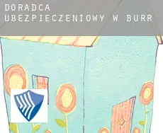 Doradca ubezpieczeniowy w  Burr