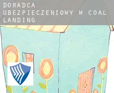 Doradca ubezpieczeniowy w  Coal Landing