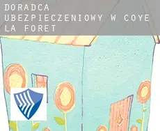 Doradca ubezpieczeniowy w  Coye-la-Forêt