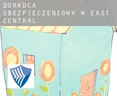 Doradca ubezpieczeniowy w  East Central