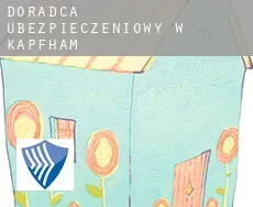 Doradca ubezpieczeniowy w  Kapfham