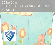 Doradca ubezpieczeniowy w  Los Alamos