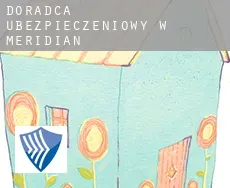 Doradca ubezpieczeniowy w  Meridian