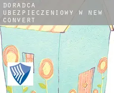 Doradca ubezpieczeniowy w  New Convert