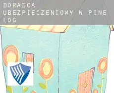 Doradca ubezpieczeniowy w  Pine Log