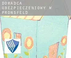 Doradca ubezpieczeniowy w  Pronsfeld