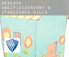 Doradca ubezpieczeniowy w Stagecoach Hills