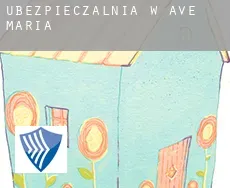 Ubezpieczalnia w  Ave Maria