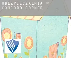 Ubezpieczalnia w  Concord Corner