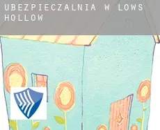 Ubezpieczalnia w  Lows Hollow