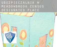 Ubezpieczalnia w  Meadowbrook