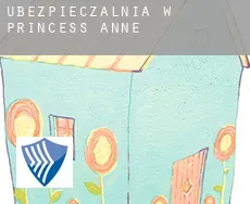 Ubezpieczalnia w  Princess Anne