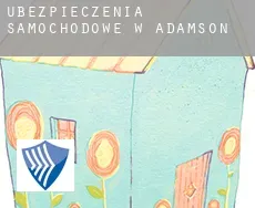 Ubezpieczenia samochodowe w  Adamson