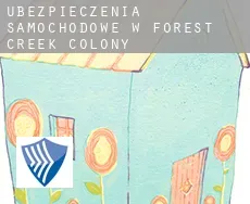 Ubezpieczenia samochodowe w  Forest Creek Colony