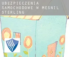 Ubezpieczenia samochodowe w  Mesnil-Sterling