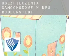 Ubezpieczenia samochodowe w  Neu Büddenstedt