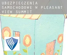 Ubezpieczenia samochodowe w  Pleasant View Summit