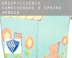 Ubezpieczenia samochodowe w  Spring Arbour