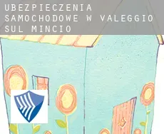 Ubezpieczenia samochodowe w Valeggio sul Mincio
