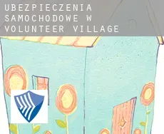Ubezpieczenia samochodowe w  Volunteer Village