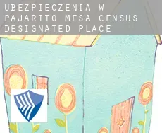 Ubezpieczenia w  Pajarito Mesa