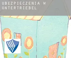 Ubezpieczenia w  Untertriebel