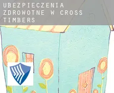 Ubezpieczenia zdrowotne w Cross Timbers