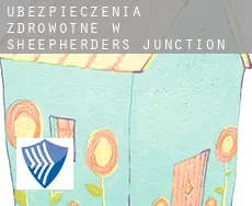 Ubezpieczenia zdrowotne w  Sheepherders Junction