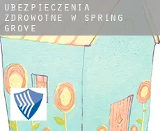 Ubezpieczenia zdrowotne w  Spring Grove