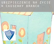 Ubezpieczenie na życie w Causeway Branch
