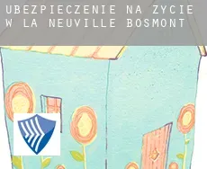 Ubezpieczenie na życie w  La Neuville-Bosmont